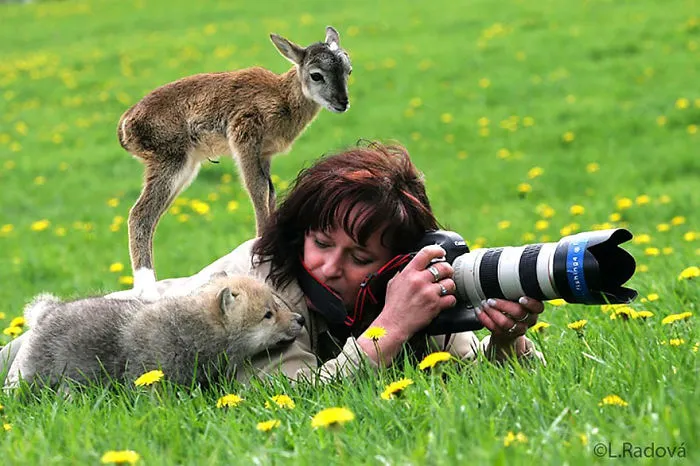 53 Reasons Why Being A Nature Photographer Is The Best Job In The World