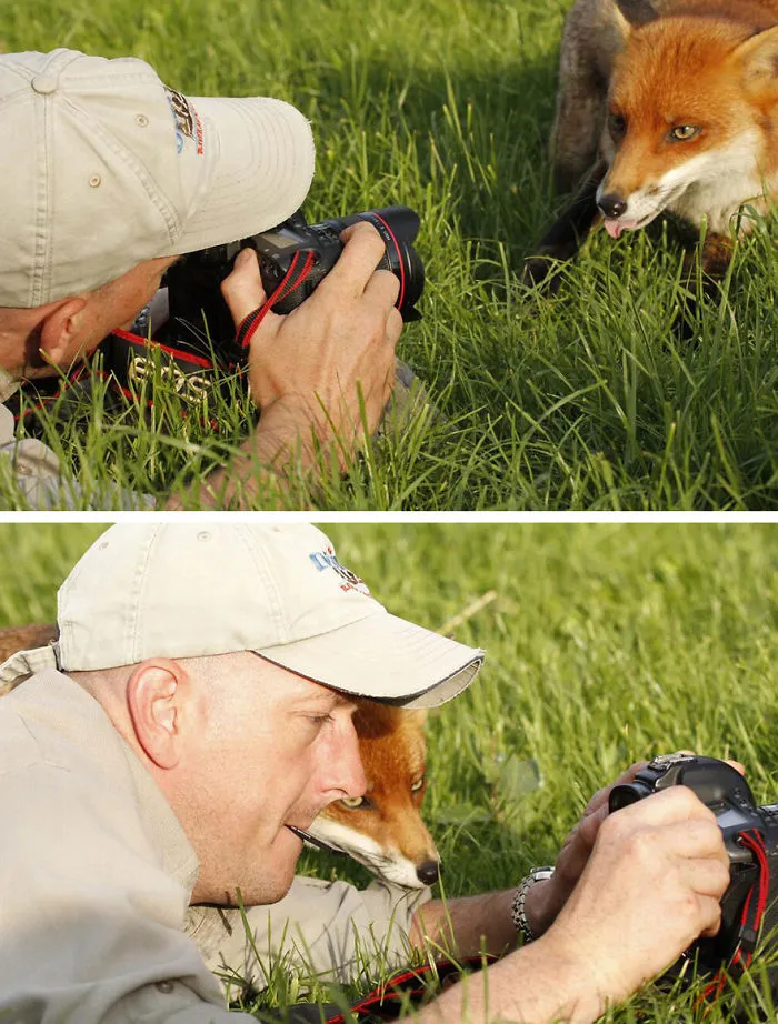 53 Reasons Why Being A Nature Photographer Is The Best Job In The World