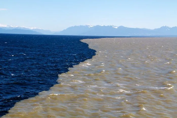 Halocline:  Salinity Separation Phenomena