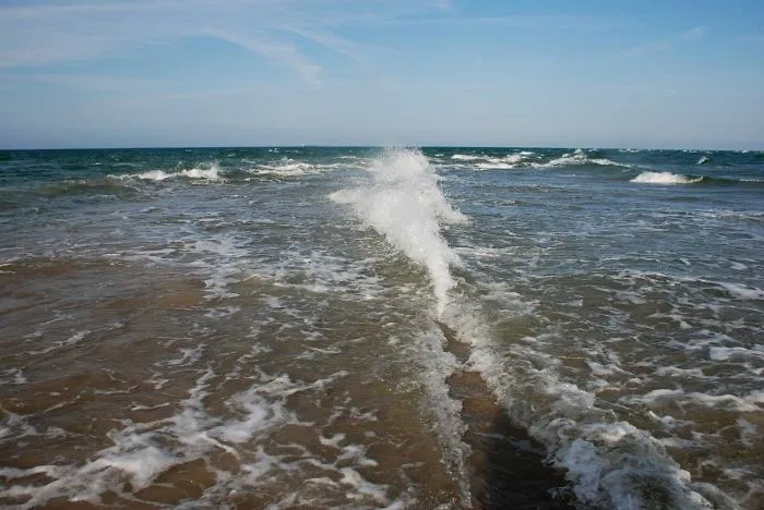 Baltic And North Seas Convergence