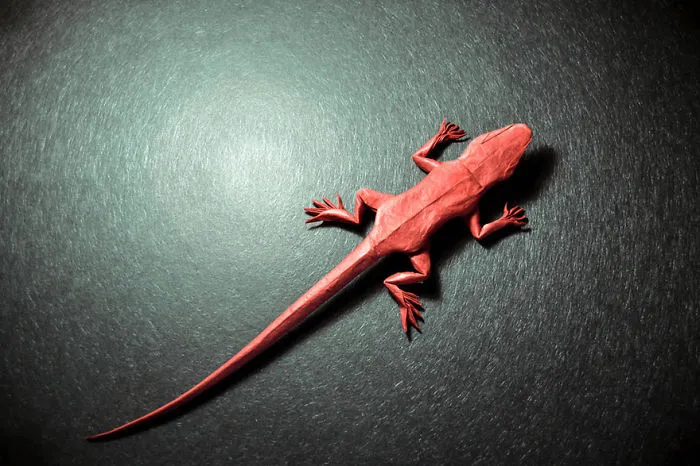 Incredible Origami Art By Spanish Artist Gonzalo Calvo