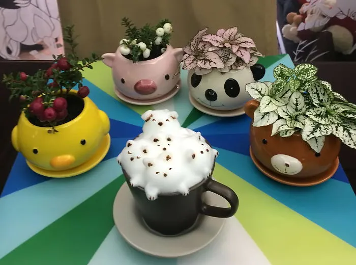 Hat, Hair Or  Brain Planter With My  3d Latteart :d