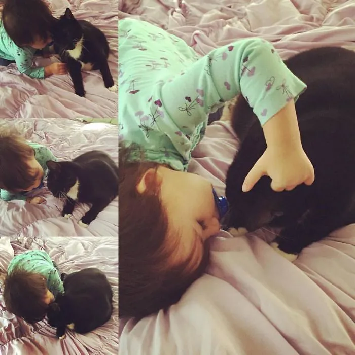 My Baby Girl And Our Friend's Cat.  They Hit It Off Immediately.