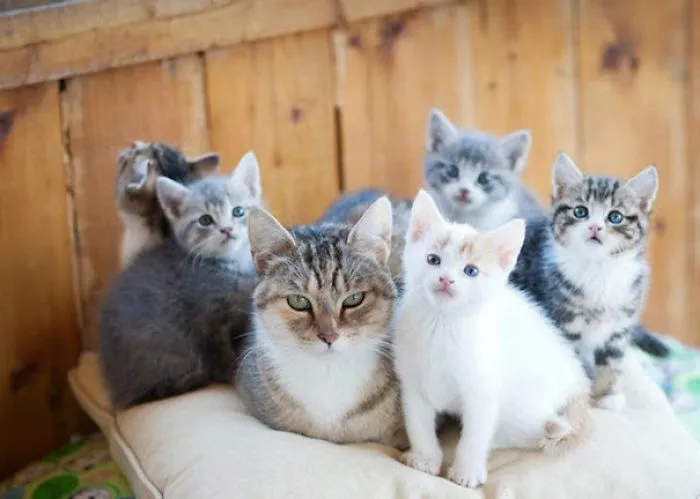 Took A While To Get A Family Portrait