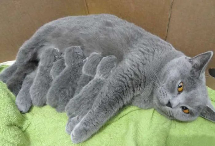 Proud Mommy
