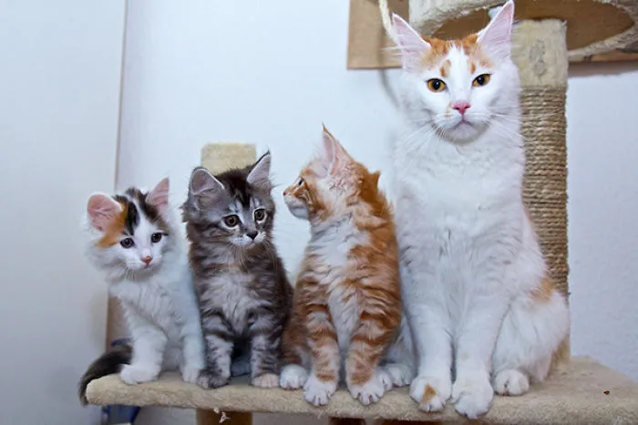 Family Portrait
