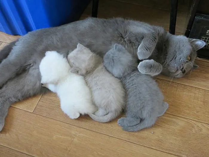 Don't You Just Hate It When You Run Out Of Ink