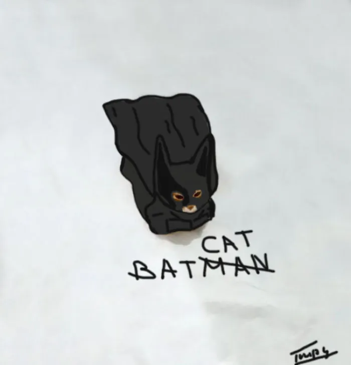 Batcat