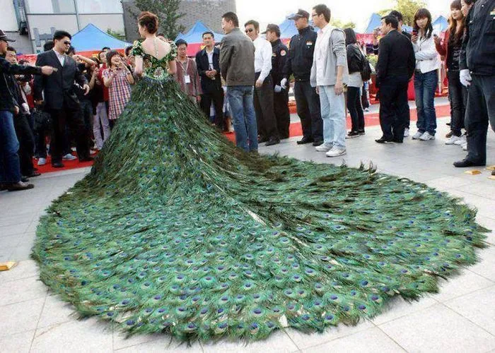 Peacock