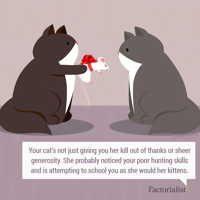 10 Quirky Human And Animal Gift-Giving Customs