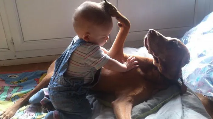 129 Heartwarming Photos Proving That Your Kids Need A Pet