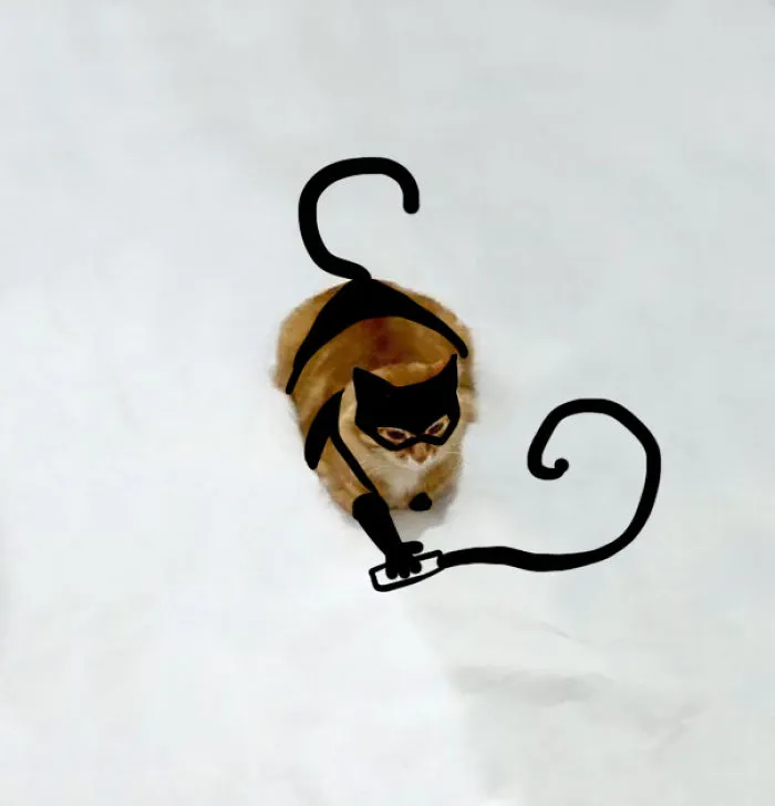 Cat Woman (not Sm)