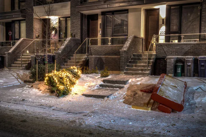 Christmas Tree Afterlife
