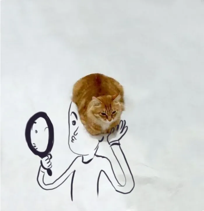 Haircat