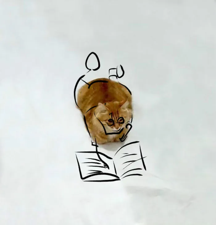 Catty Potter