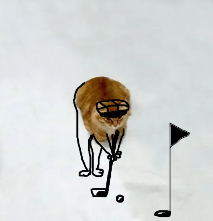 Play Golf?