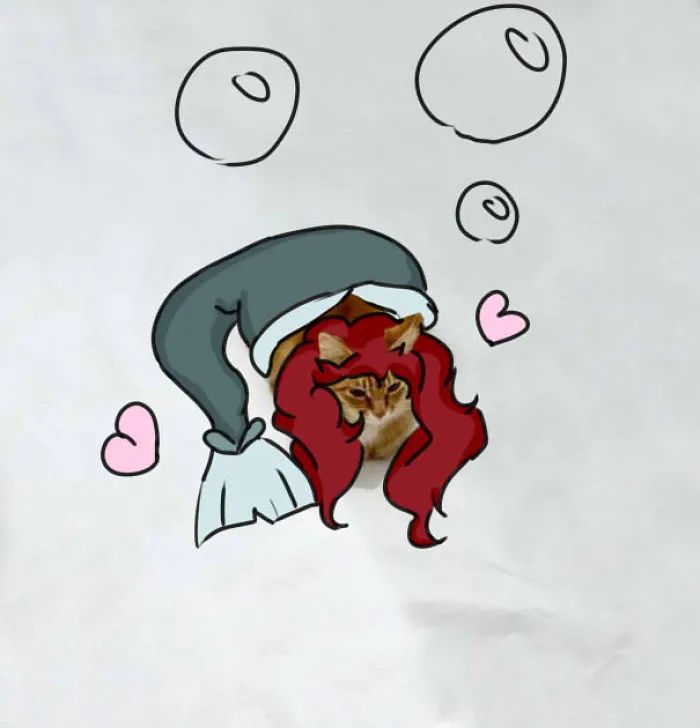 The Little Mermaid