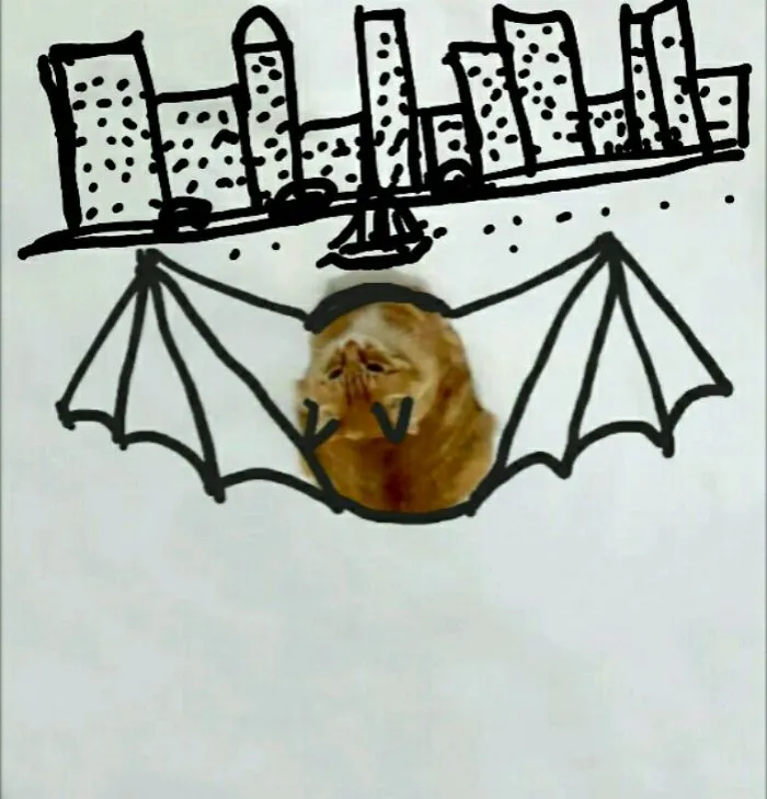 Batcat Is Here To Save The City Of Gotham