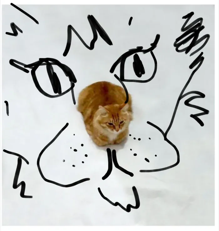 Inception Cat