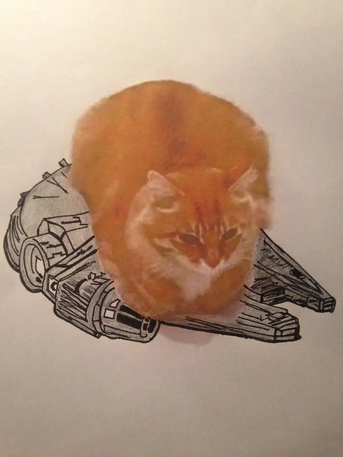 Chewbaccat