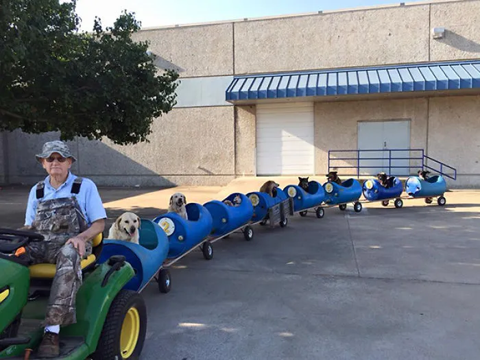 80-Year-Old Man Builds A Dog Train To Take Rescued Stray Dogs On Adventures