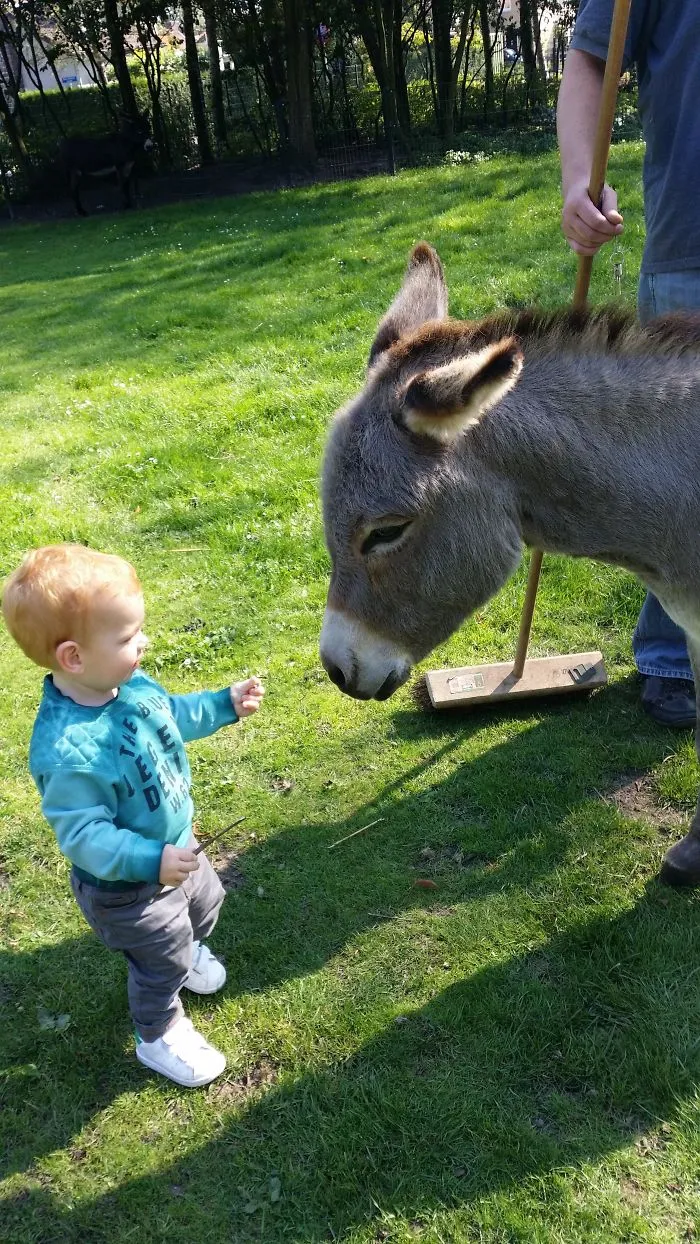 129 Heartwarming Photos Proving That Your Kids Need A Pet