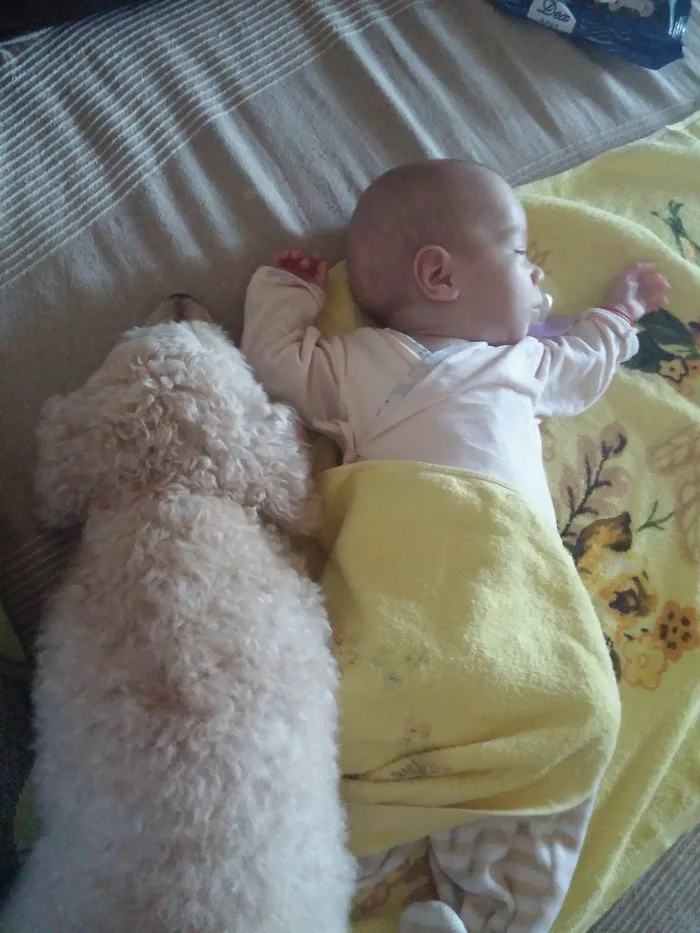 129 Heartwarming Photos Proving That Your Kids Need A Pet