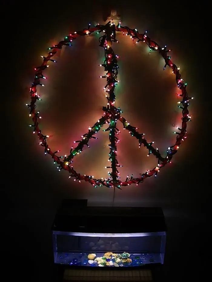 Peace For All