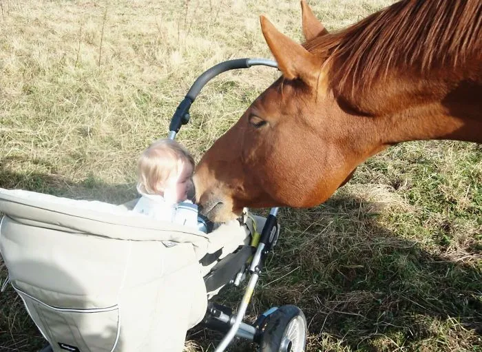 129 Heartwarming Photos Proving That Your Kids Need A Pet