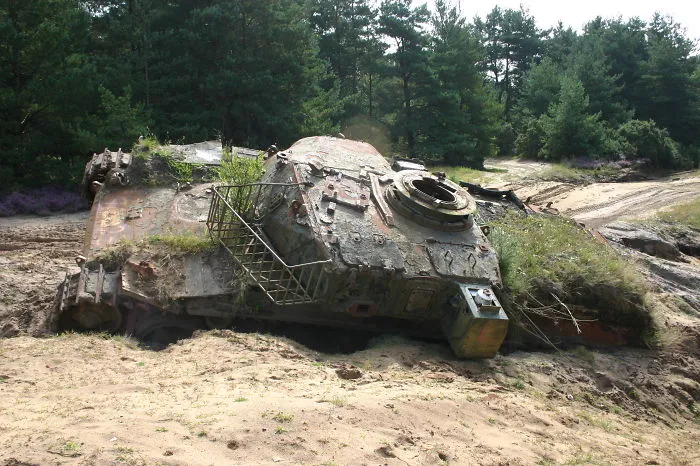 Chieftain, Slab Common, Bordon, Uk