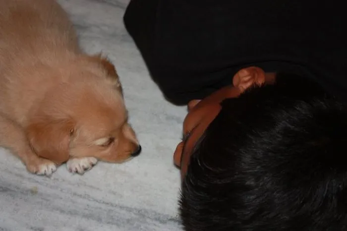 129 Heartwarming Photos Proving That Your Kids Need A Pet