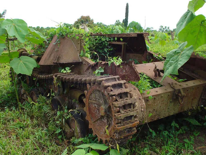 Tank Taken Over By Nature