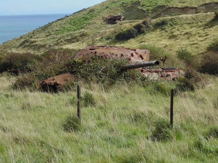 Tank Taken Over By Nature