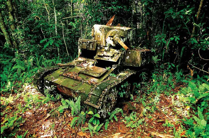 Tank Taken Over By Nature