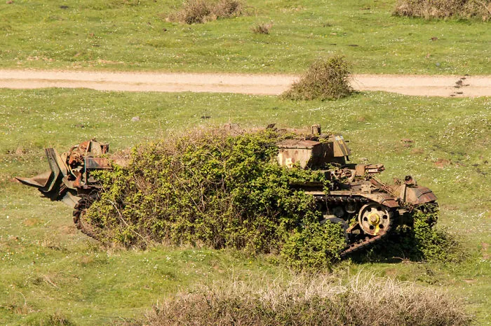 Dorset, Uk