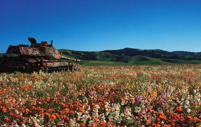 Tank Taken Over By Nature