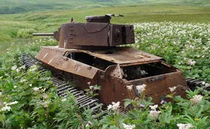 Tanks Swallowed By Nature Look So Peaceful As If The War Never Happened (45 Pics)