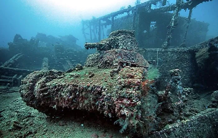 Tank Swallowed By Corals