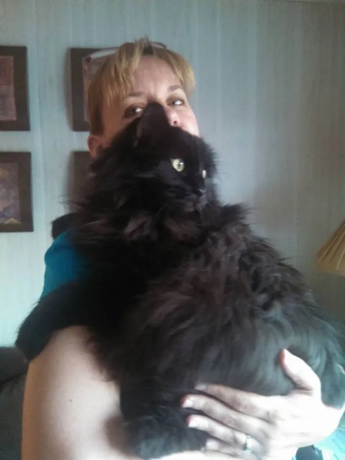 Teddy Is A Shelter Rescue.