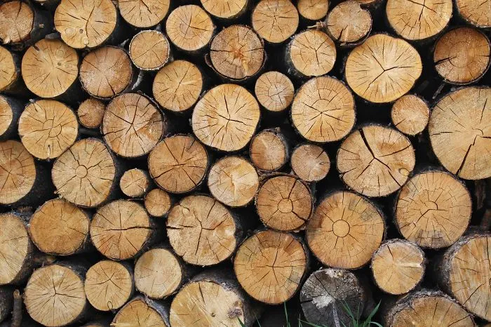 Timber Framing In Australia