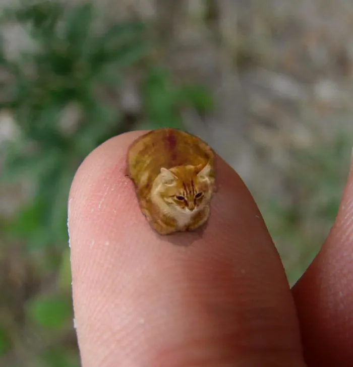 Tiny