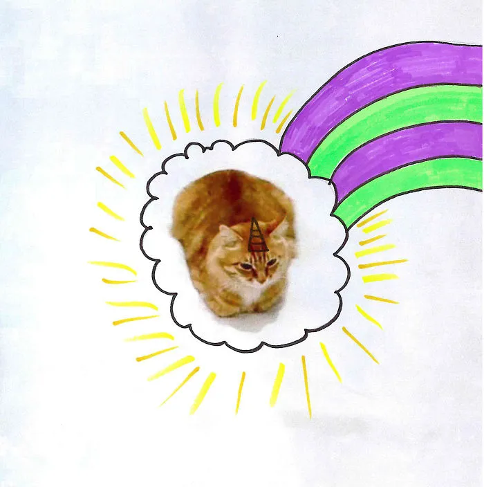 Uni-cat #icatcare