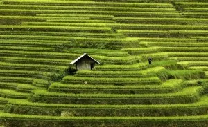 Vietnam: A Mosaic Of Contrasts By Photographer Rehahn
