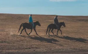 We Decided To See What The Mongolian Nomads' Life Look Like