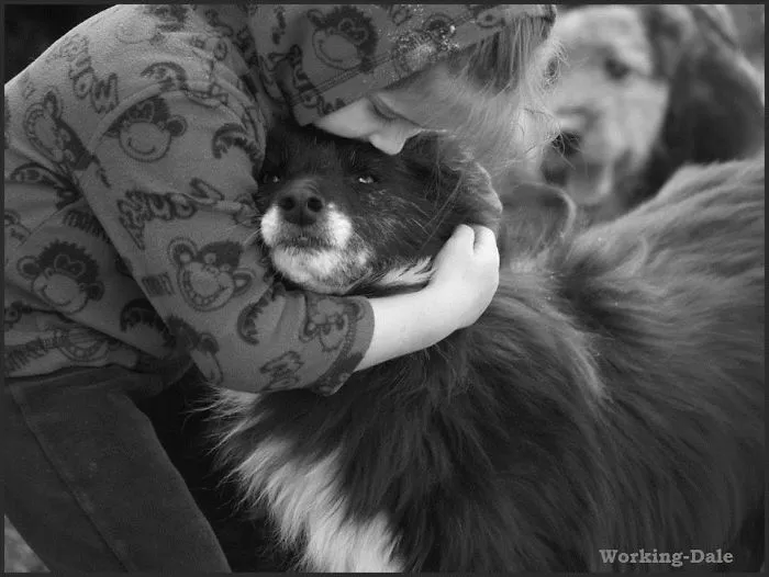 129 Heartwarming Photos Proving That Your Kids Need A Pet