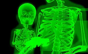 "x-ray" Artworks Series By Ivan Tsupka