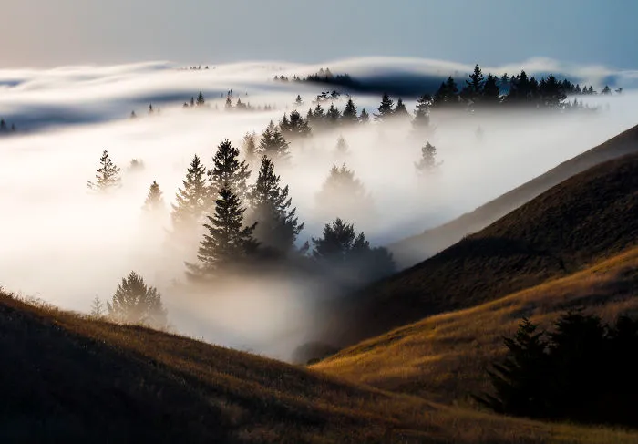 Fog Rolling In, Marin County, California