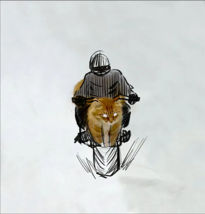 Motorcat
