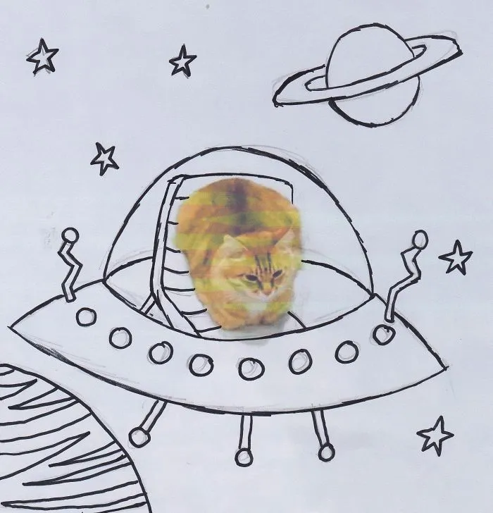 Intergalacti-kitty