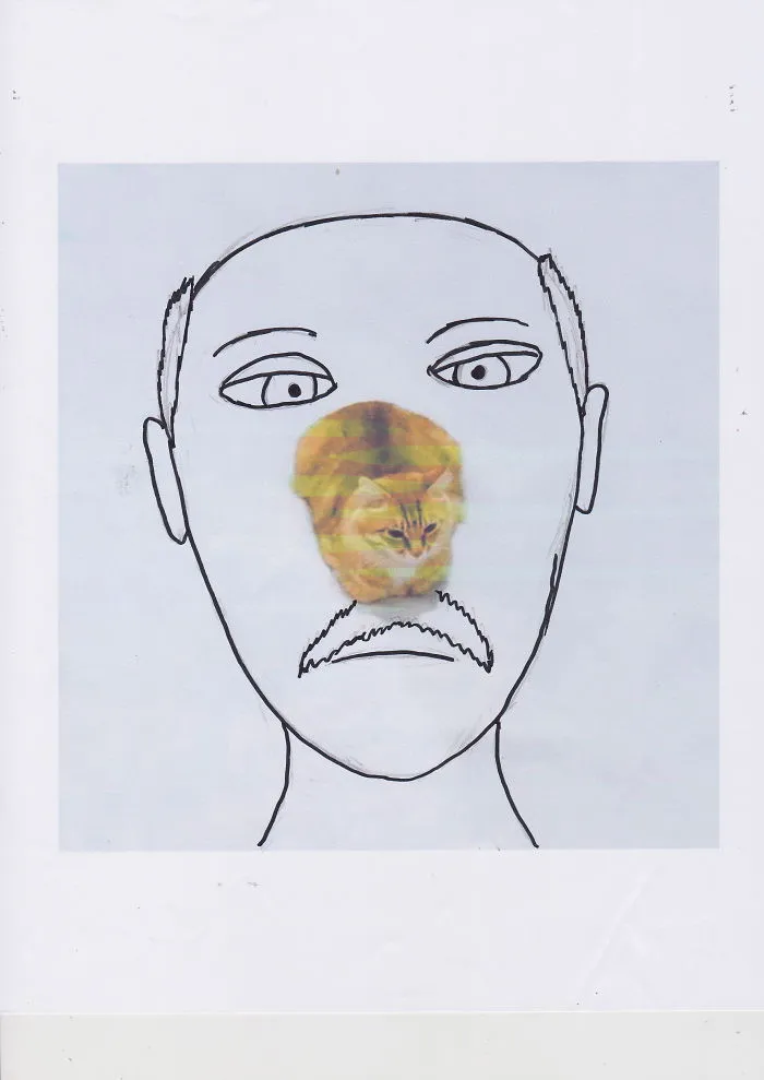 Nasal Cat